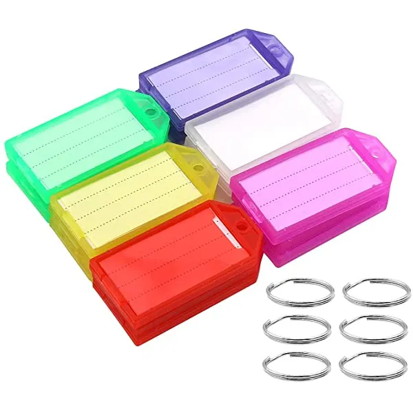 60 Pack Tough Plastic Key Tags with Flap Label Window and S…